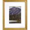 6 Packs: 3 ct. (18 total) Gallery™ Gold Frame with Mat by Studio Décor®